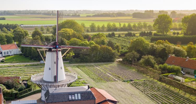Koudekerke molen Gemeente Veere